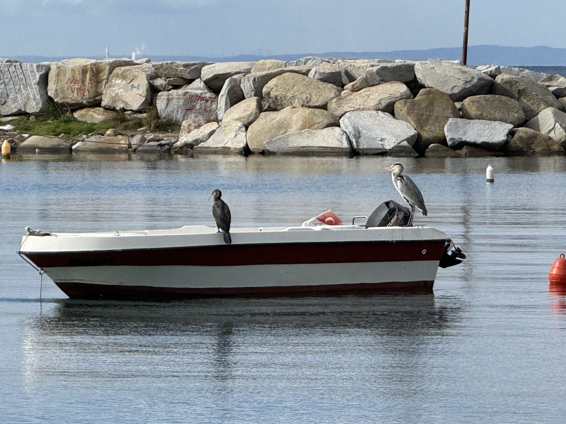 Ocaklar Liman Kuşlar