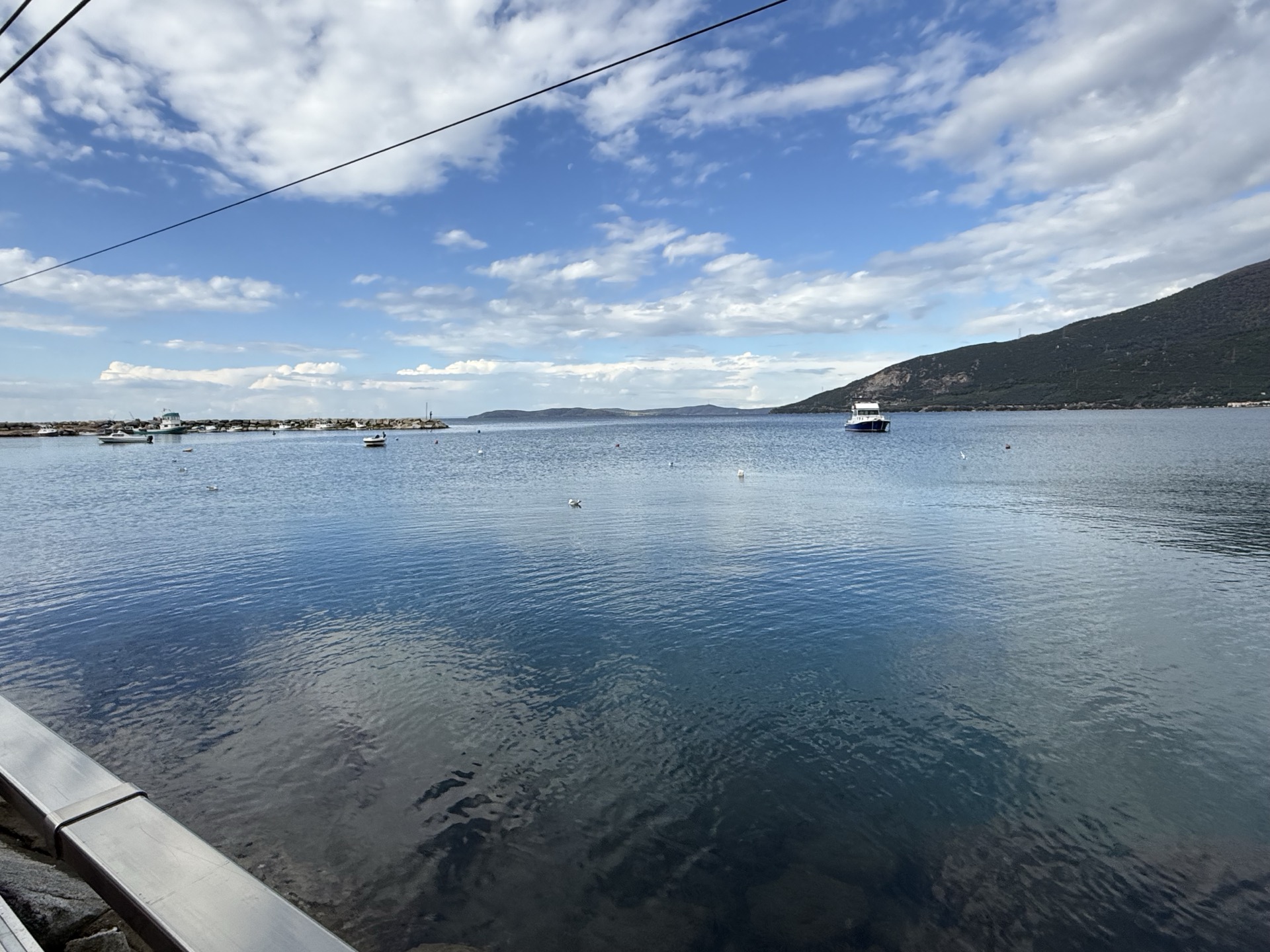 Ocaklar Liman Tekne Kuşlar