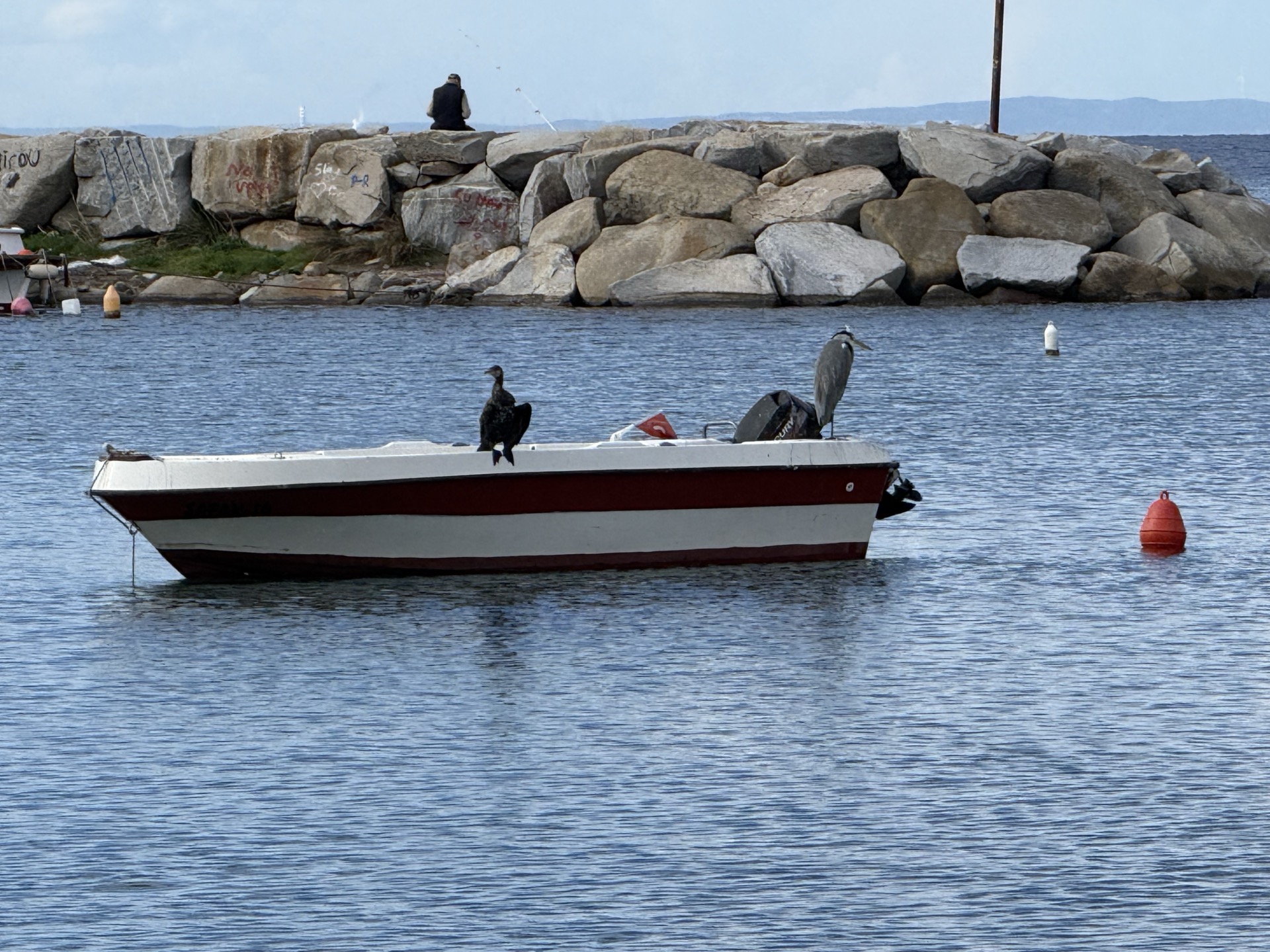 Ocaklar Liman Tekne Kuşlar 2