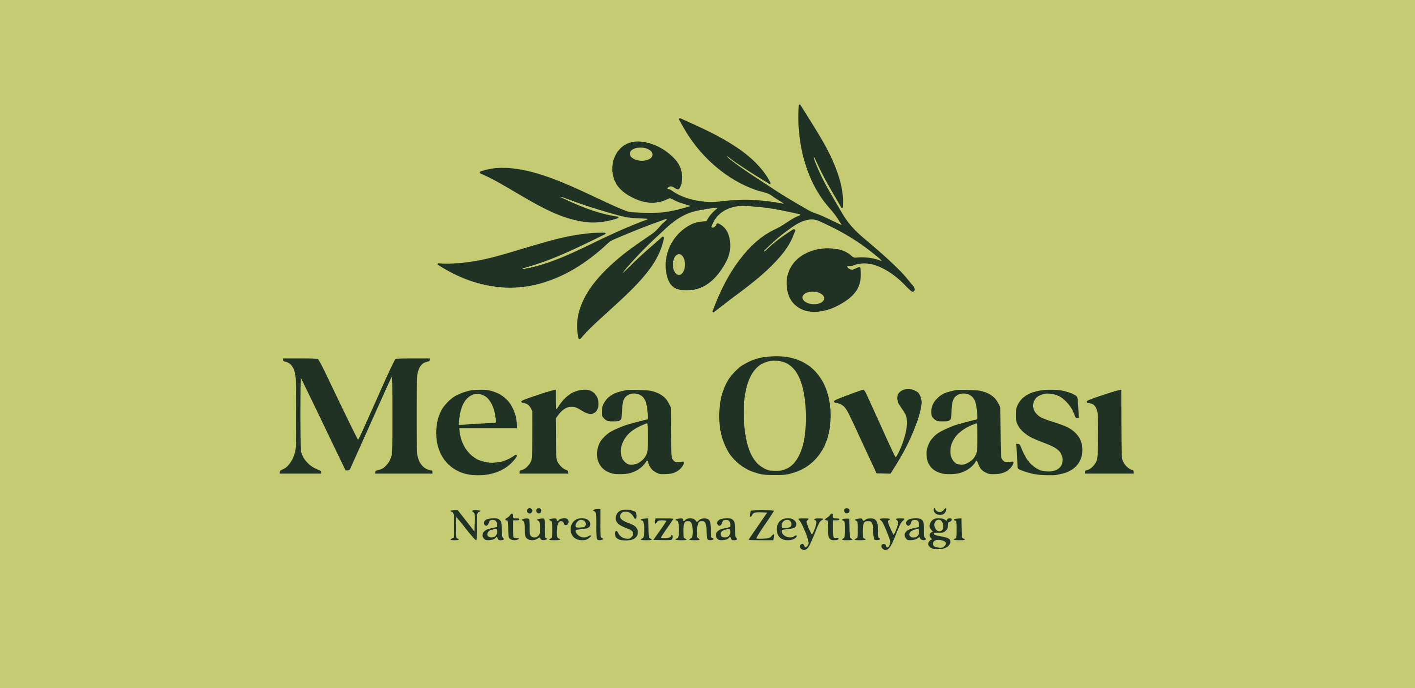 Mera Ovası Zeytinyağı